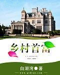《乡村首富》封面