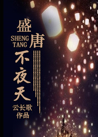 《盛唐不夜天》封面