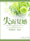 《失而复婚》封面
