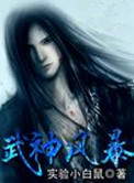 《武神风暴》封面