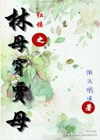 《红楼之林母穿贾母》封面
