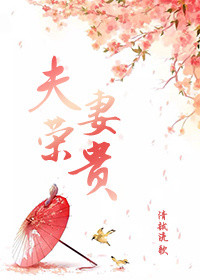 《夫荣妻贵》封面