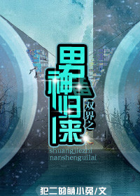 《双界之男神归来》封面