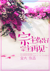 《宗主你好，宗主再见~》封面