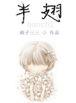 《半翅》封面
