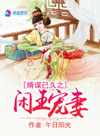 《婿谋已久之闲王宠妻》封面