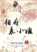 《穿越之相府表小姐》封面