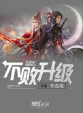 《不败升级》封面
