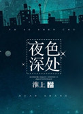 《夜色深处》封面