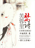 《芙蓉里》封面