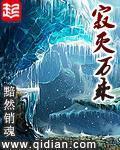《寂灭万乘》封面