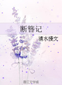 《断簪记》封面