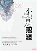 《不只是婚姻》封面