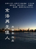 《京洛再无佳人》封面