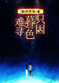 《只因暮色难寻》封面
