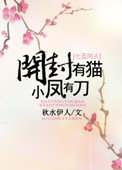 《开封有猫，小凤有刀》封面