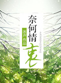 《奈何情衷》封面