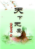 《天下无妾》封面