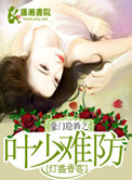 《豪门隐婚之叶少难防》封面