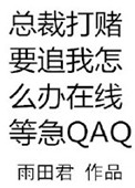 《总裁打赌要追我怎么办在线等急》封面