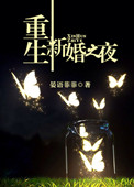 《重生新婚之夜》封面