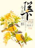 《陛下今天不一样》封面