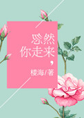 《忽然你走来》封面