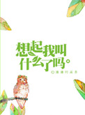 《想起我叫什么了吗》封面
