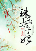 《珠玉太子妃》封面