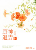 《厨神追妻记》封面