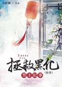 《拯救黑化男主纪事（快穿）》封面