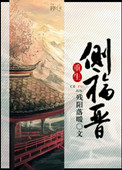 《重生侧福晋》封面