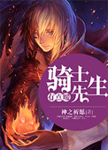 《骑士先生有点暖》封面