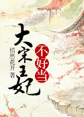 《大宋王妃不好当》封面