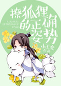 《撩狐狸的正确姿势》封面