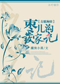 《枣儿沟发家记》封面