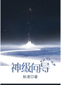 《神级向导》封面
