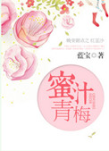 《蜜汁青梅》封面