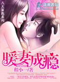 《暖妻成瘾》封面