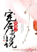 《穿越之宠后传说》封面