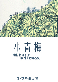 《小青梅》封面