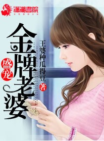 《盛宠金牌老婆》封面