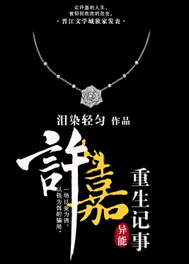 《许嘉重生记事》封面