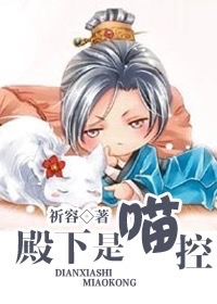 《殿下是喵控》封面