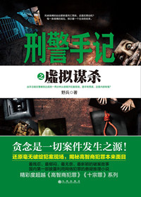 《刑警手记之虚拟谋杀》封面