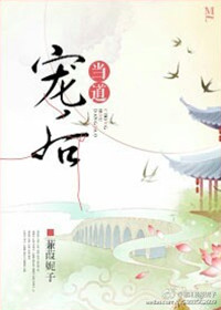 《宠后当道》封面