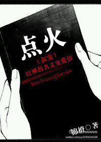 《点火（叔宠）》封面