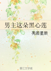 《男主这朵黑心莲》封面