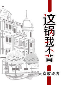 《这锅我不背》封面