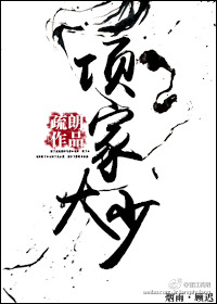 《项家大少》封面